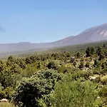 Diablitos 4